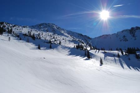 66_2019-02-17 14-45-45.JPG